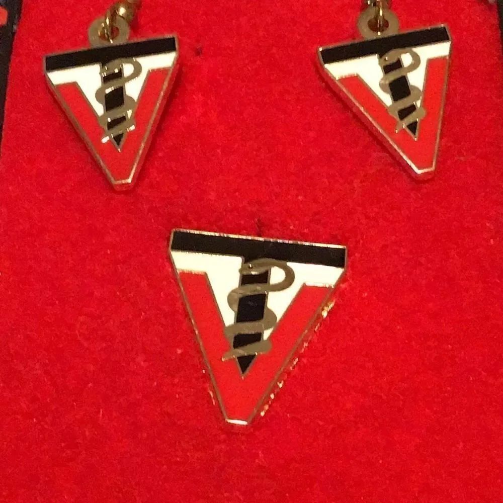 Veterinarian Earrings and lapel pin vintage from Georgia estate sale